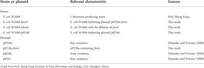 Type I fimbriae subunit fimA enhances Escherichia coli biofilm formation but affects L-threonine carbon distribution